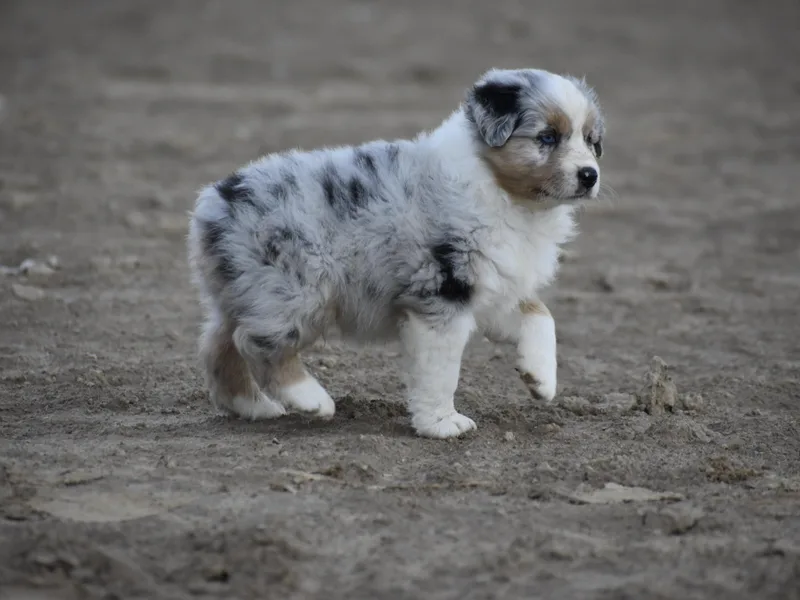 10-BAR-Y RANCH photo 1