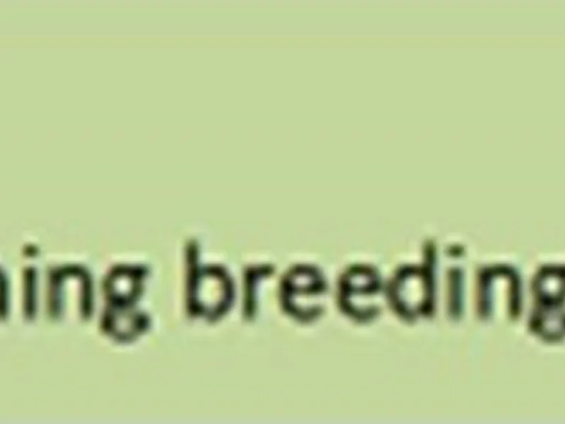 1BlackMtnBengal photo 1