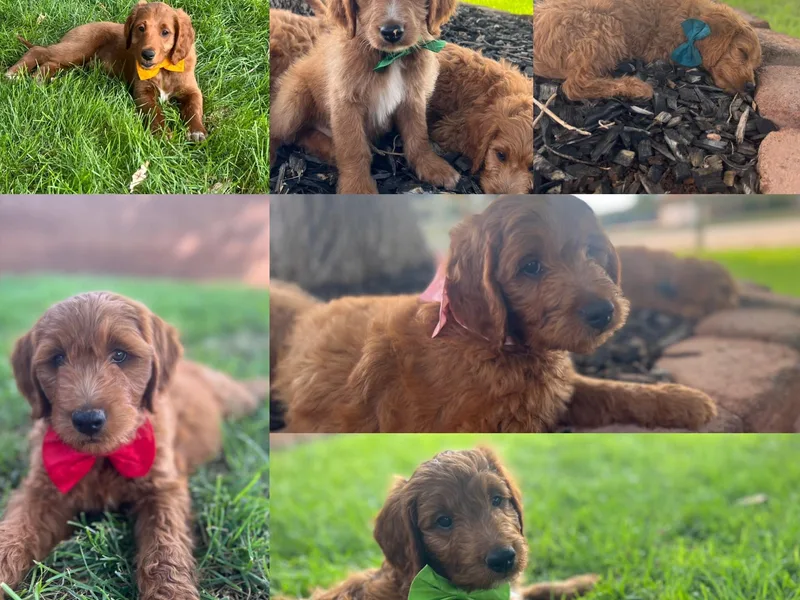 2 Lazy Ts Ranch photo 1