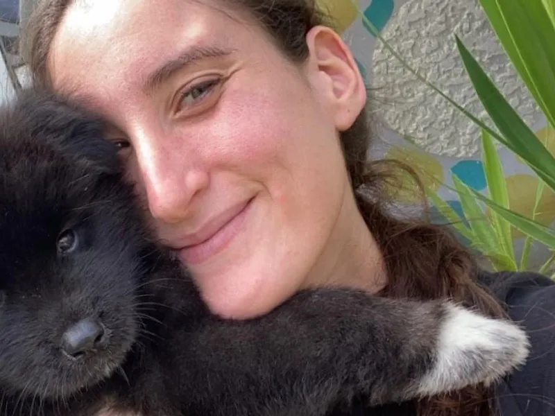 239 Sunshine Akitas photo 1