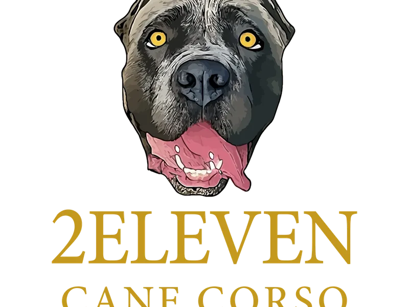 2Eleven Cane Corso