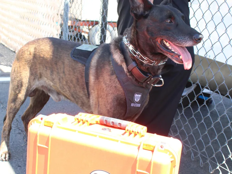 3:10 Working K9's photo 1