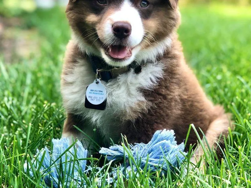 3 Barrels Farms, LLC photo 1