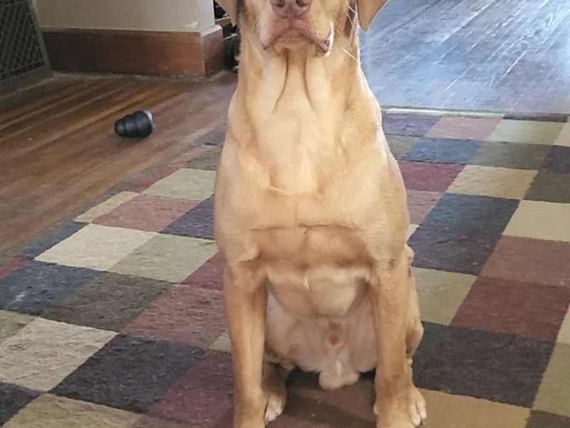 3 River's Outdoors Labs