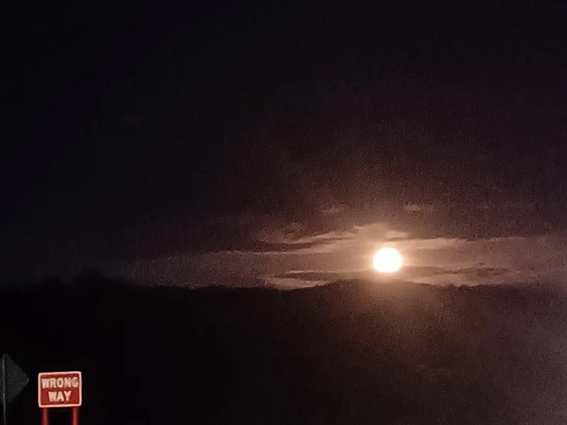 313Cole's Dal's photo 1