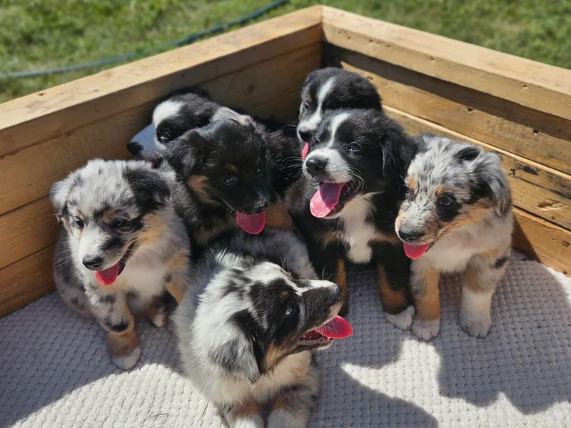 3am Riot Ranch photo 1