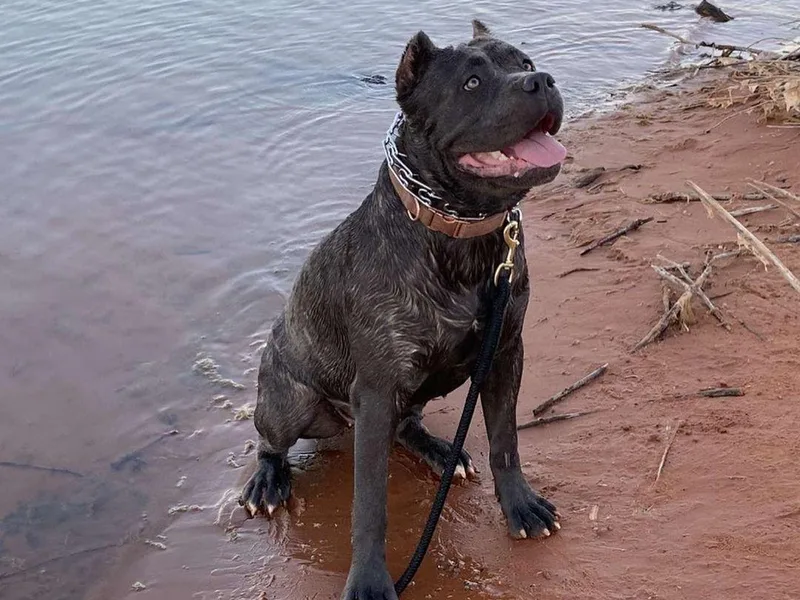 3Lake Kennelz photo 1