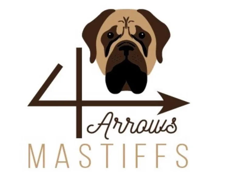 4Arrows Mastiffs photo 1
