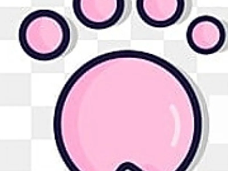 4Leopardpaws photo 1