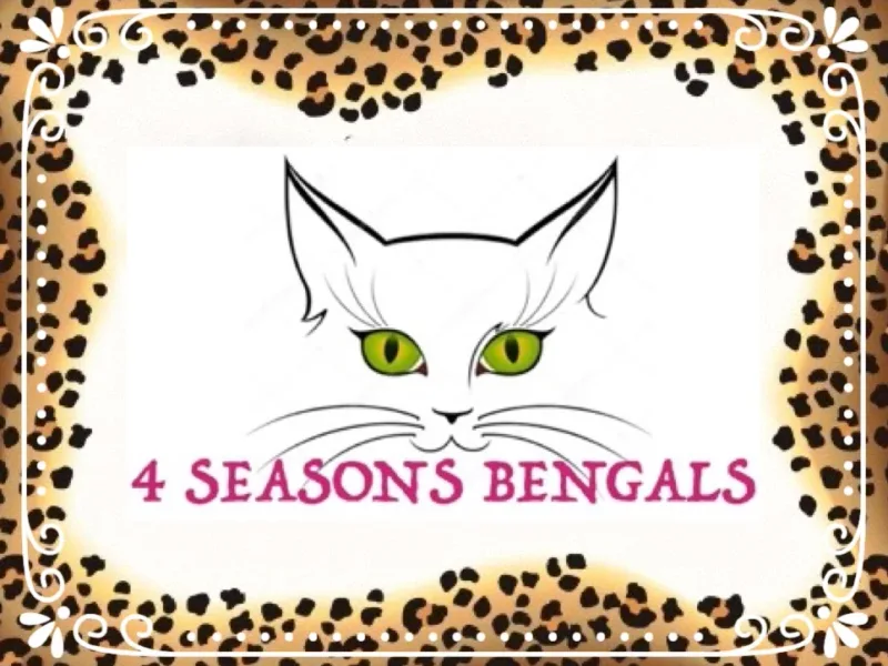 4Seasonsbengals