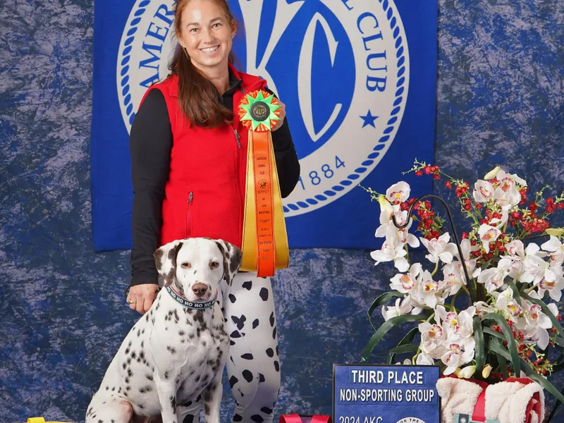 5 Alarm LUA Dalmatians &amp; Bling Tiny Doodles photo 1