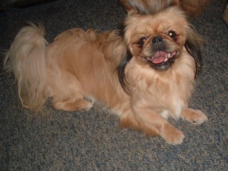 A&amp;J Ranch photo 1