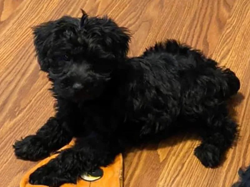 A Bundle of Love photo 1