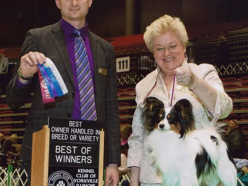 A’Capella Papillons