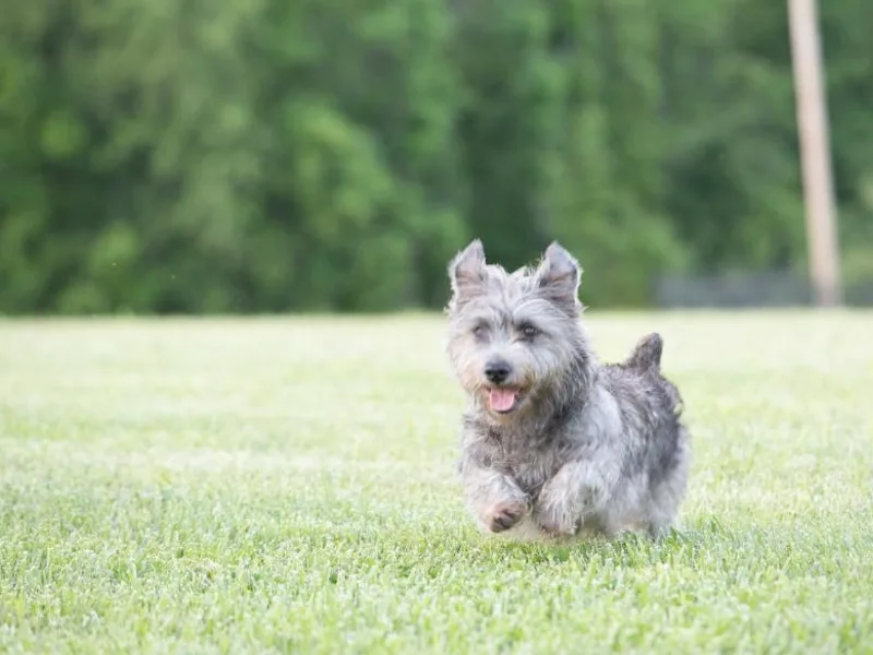 Abberann Glens photo 1
