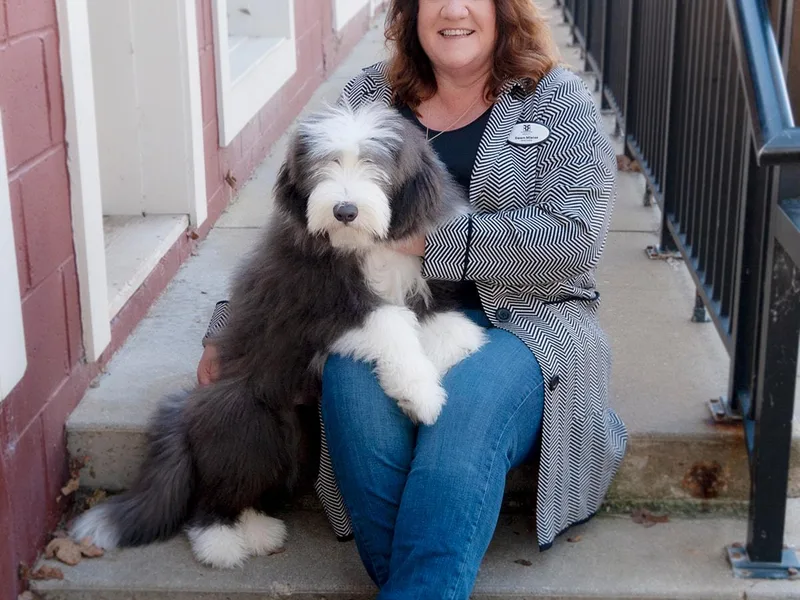 Aberlour Bearded Collies