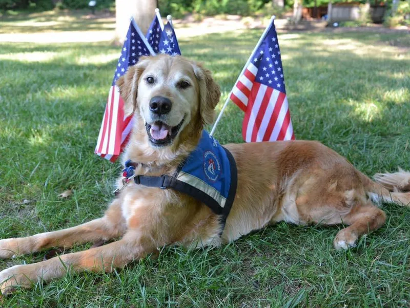 Ability Center Service Dogs