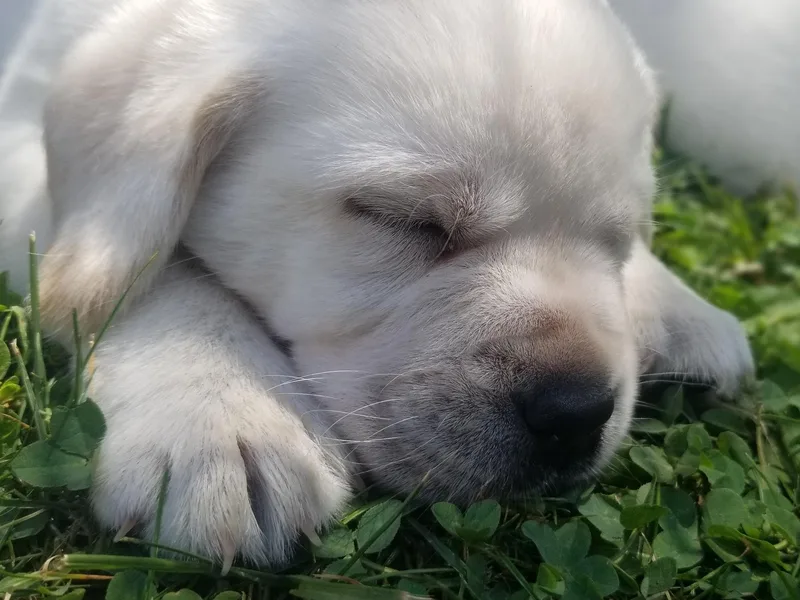 Above &amp; Beyond LLC