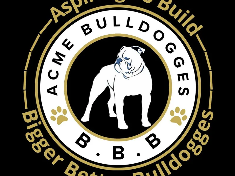 Acme Bulldogges photo 1