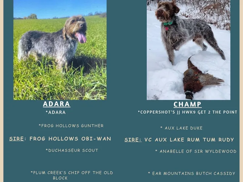 Adaras Rhelm photo 1