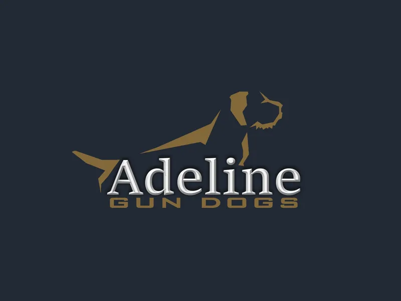 Adeline Gun Dogs