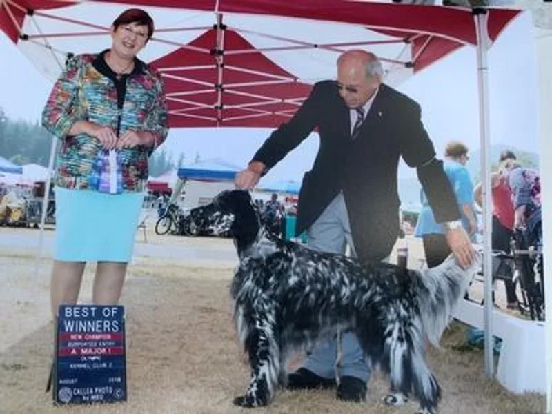 Adirondack Setters photo 1