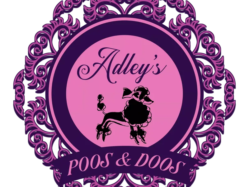ADLEYS POOS AND DOOS photo 1