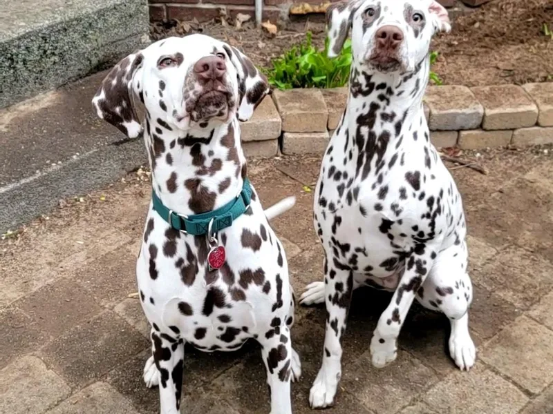 Adopt A Spot New England