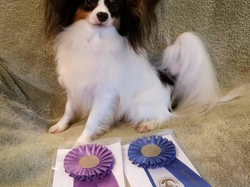 Adrianne &amp; Ally Rounds