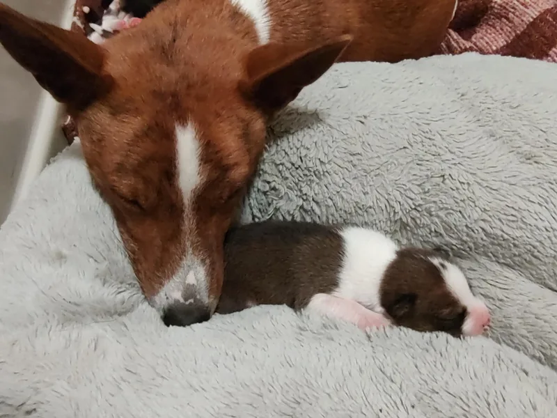 AFRICAN TREASURES photo 1