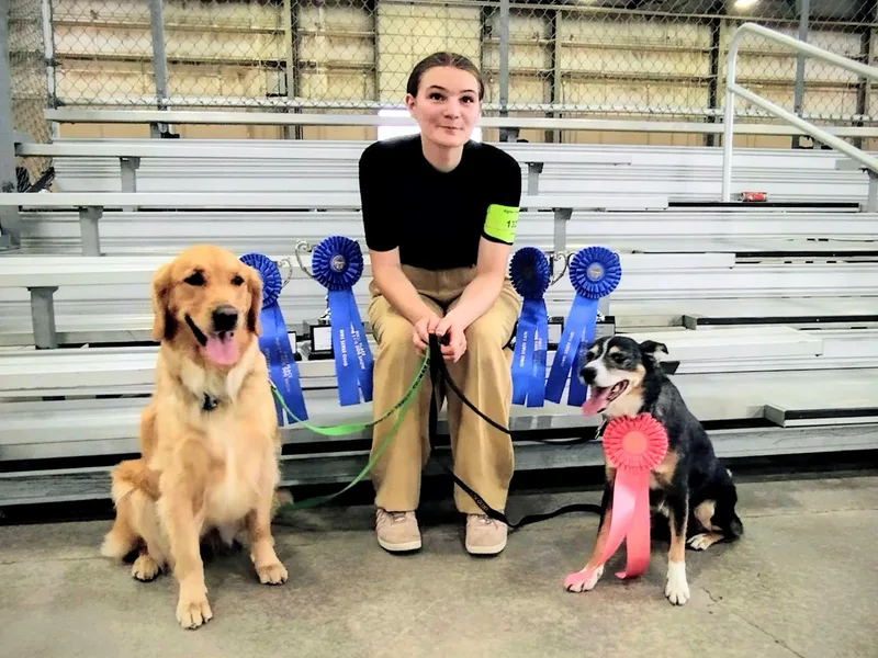Agnes' Golden Retrievers