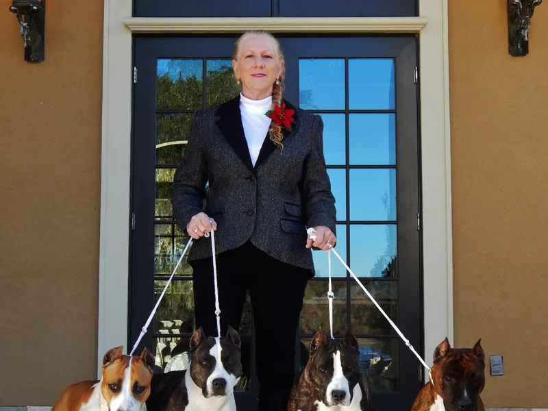 Aim High Kennels photo 1