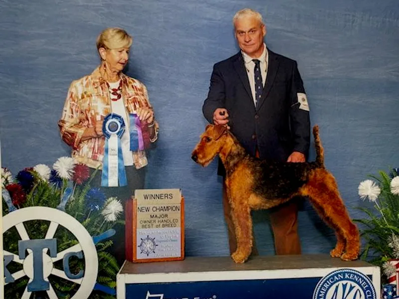 Airedale's of Blue Ridge Virginia