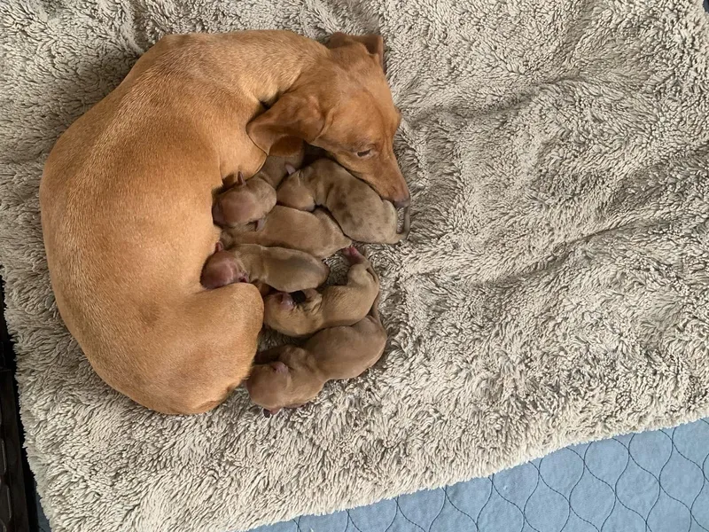 AKFourty Seven Farms