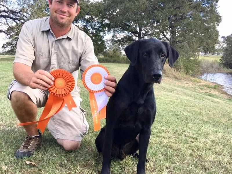 Alabama Pointing Labradors
