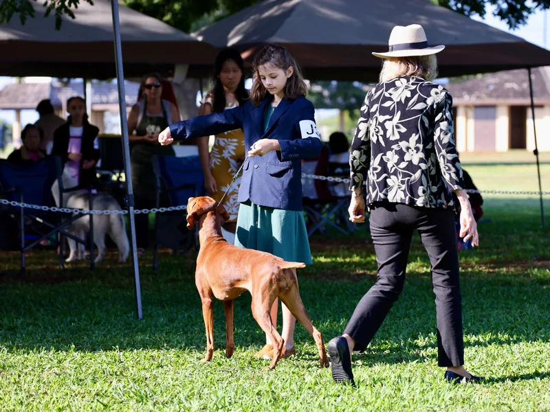 Alaea Farm &amp; Kennel photo 1