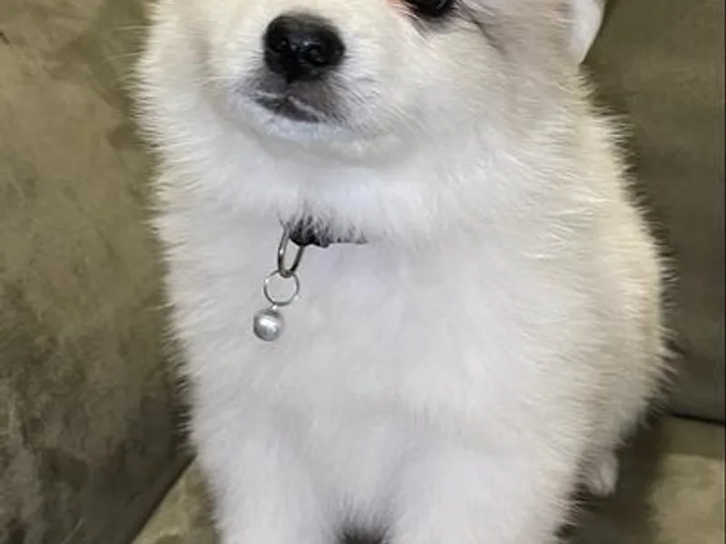 Alejo Eskies photo 1