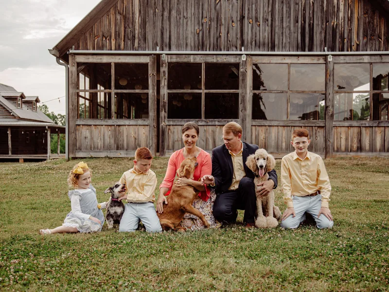 Alexander’s Standard Poodles