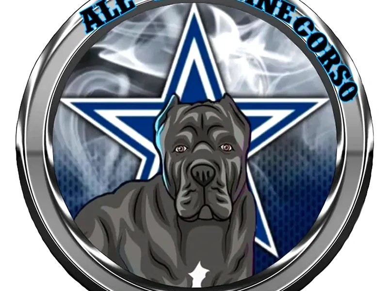 AllinCaneCorso/Shih Tuz