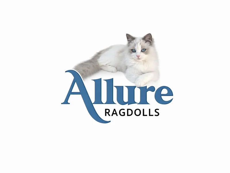 AllureRagdolls