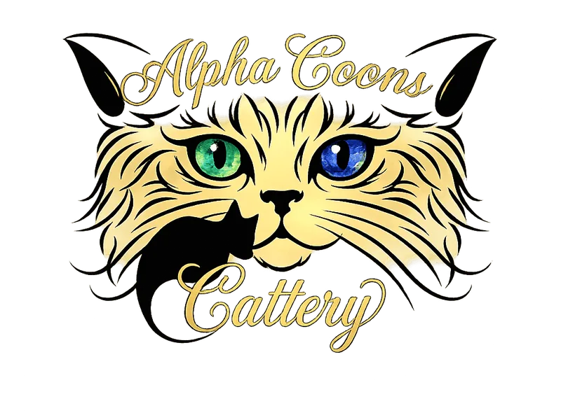 Alpha Coons – Maine Coons from Maine