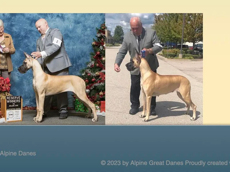 Alpine Great Danes