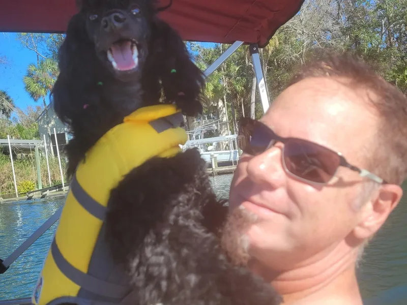 Amari Miniature Poodles