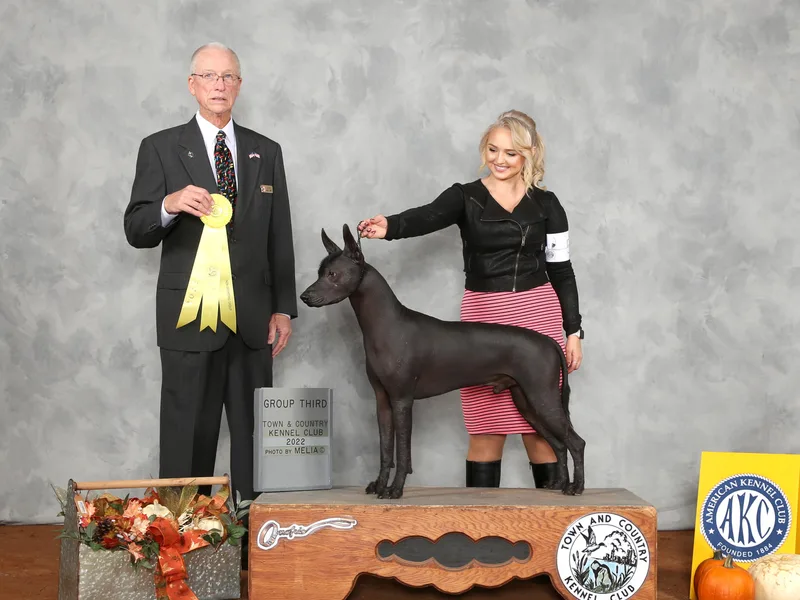 Amayla Kennels photo 1