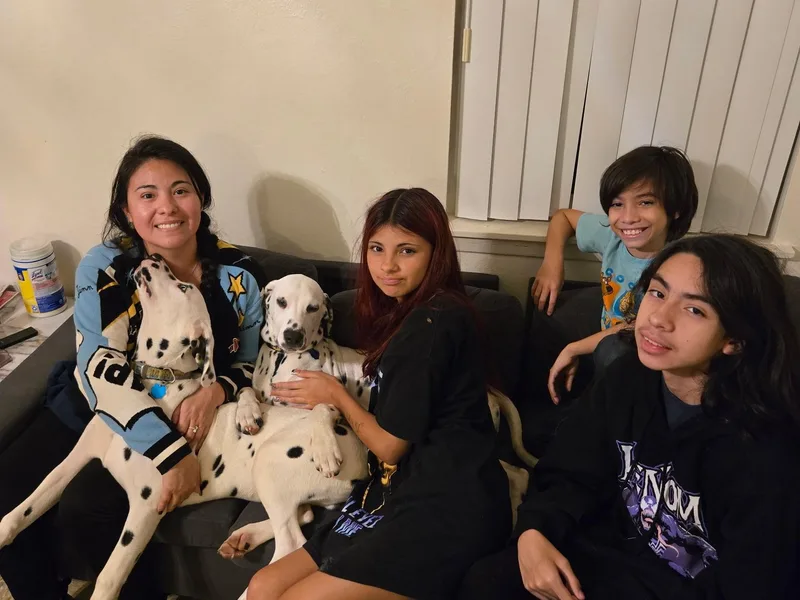 America's Dalmatian Friends