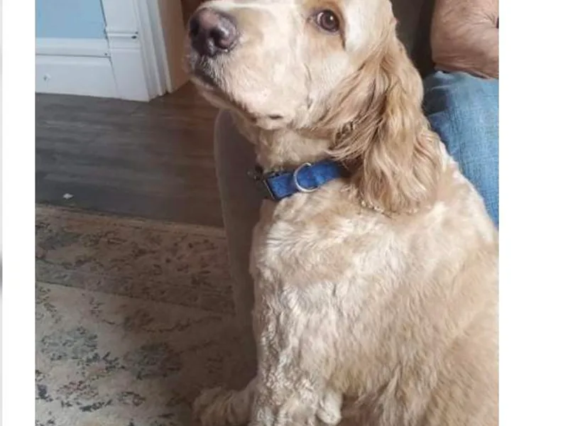 Amy Walker's Doodles