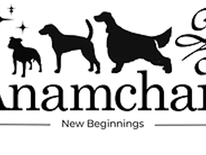 Anamchara Kennels