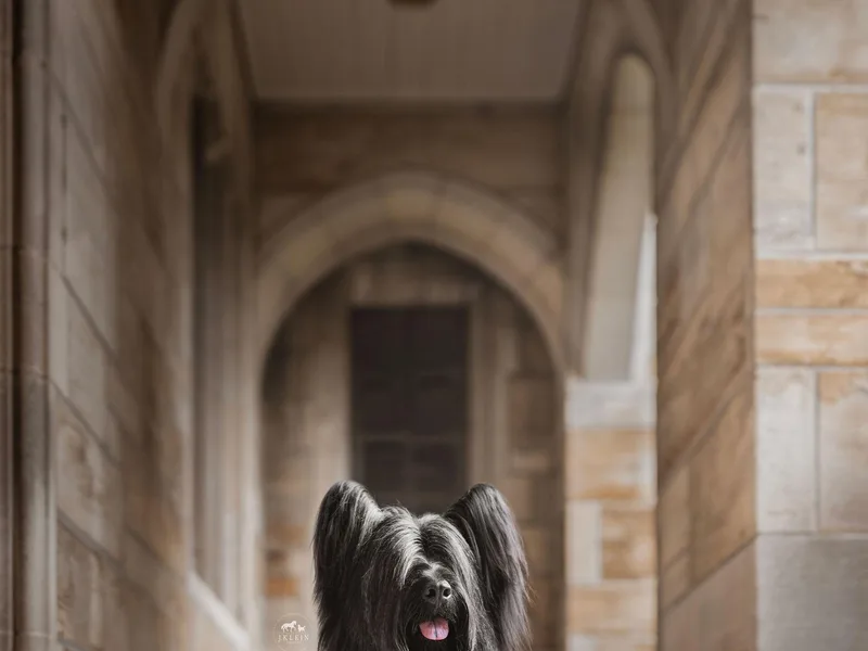 Anamchara Skyes photo 1