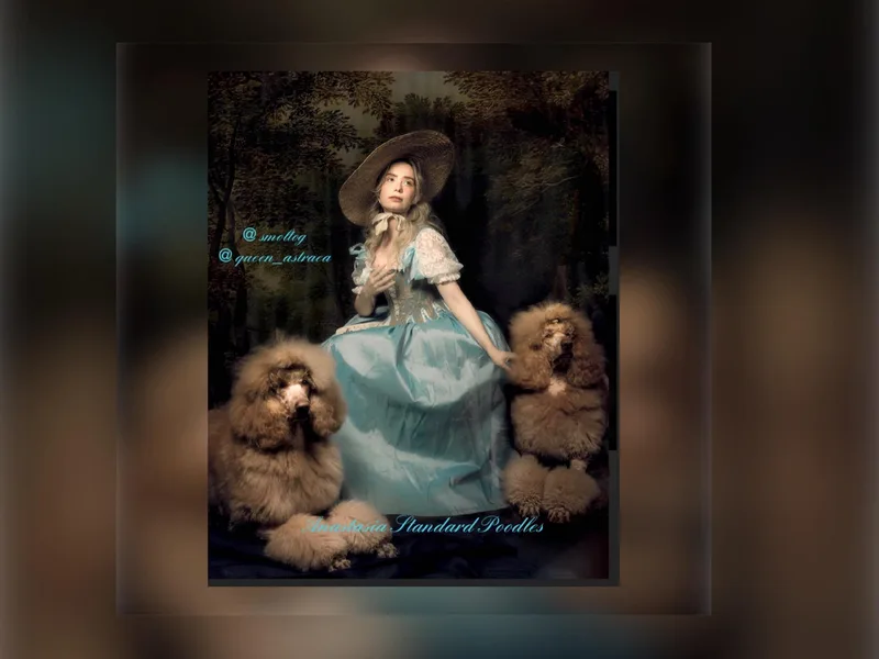 Anastasia Poodles three four seven seven five four two three four five