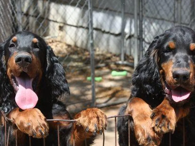 Andelle Farms photo 1